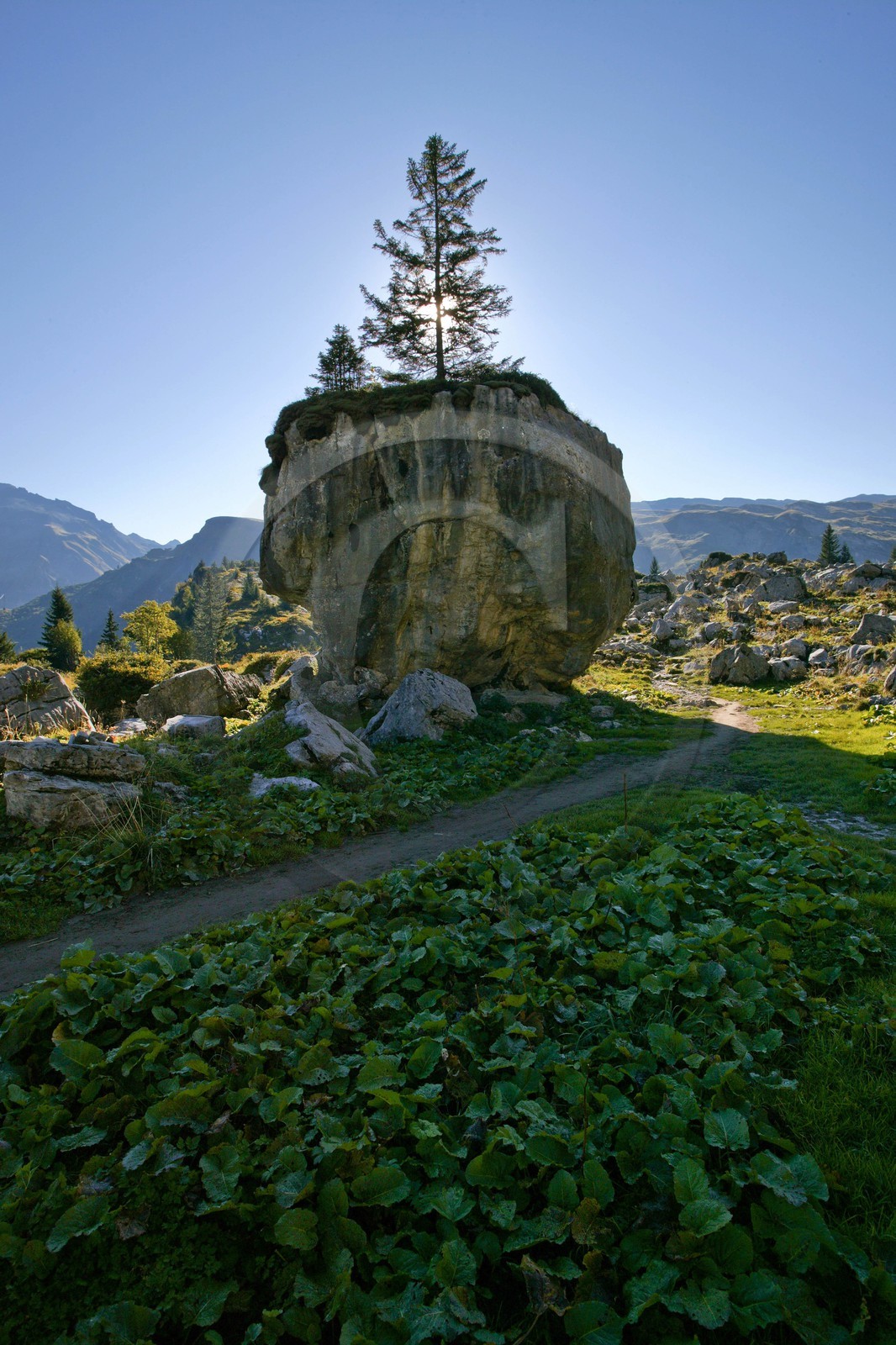 Réserve naturelle de Sixt-Passy