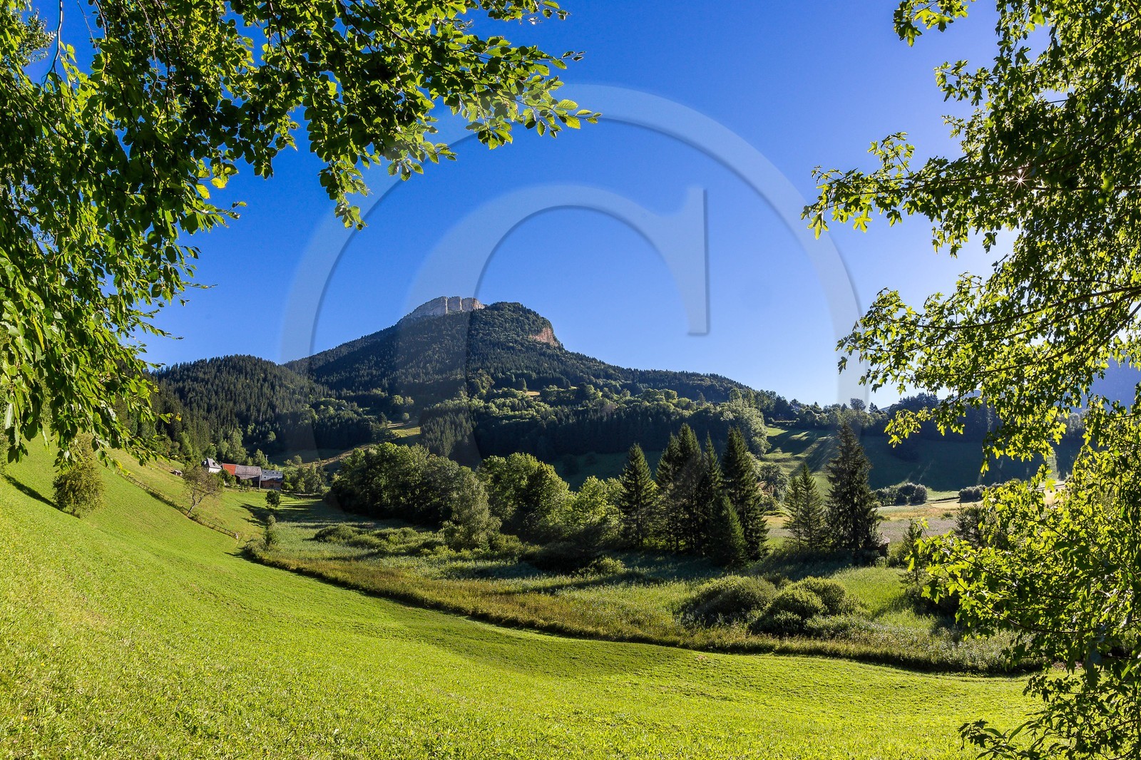 ENS de l'Isère, Marais des Sagnes