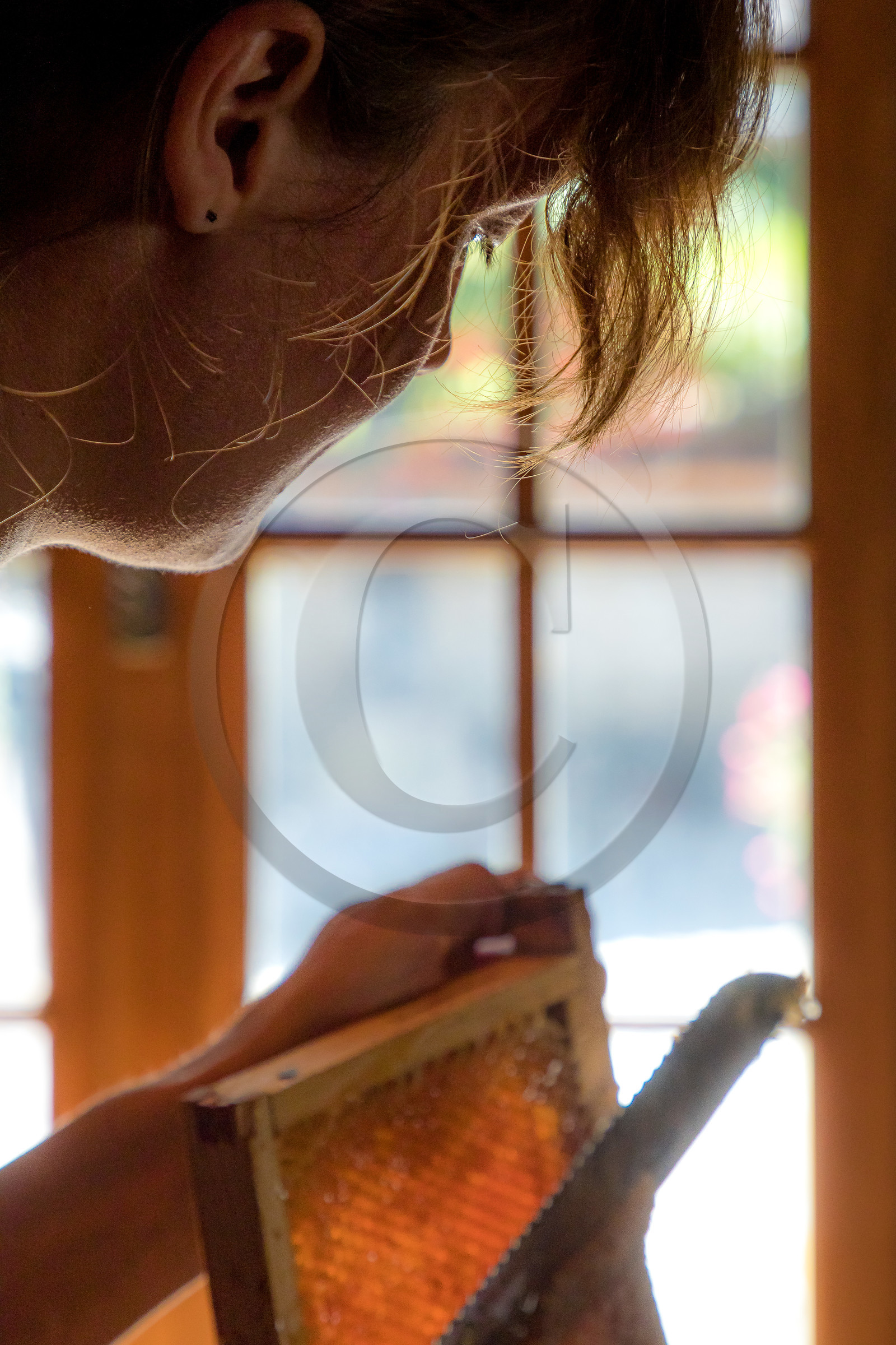 Margaux et Didier Pissard, apiculteurs