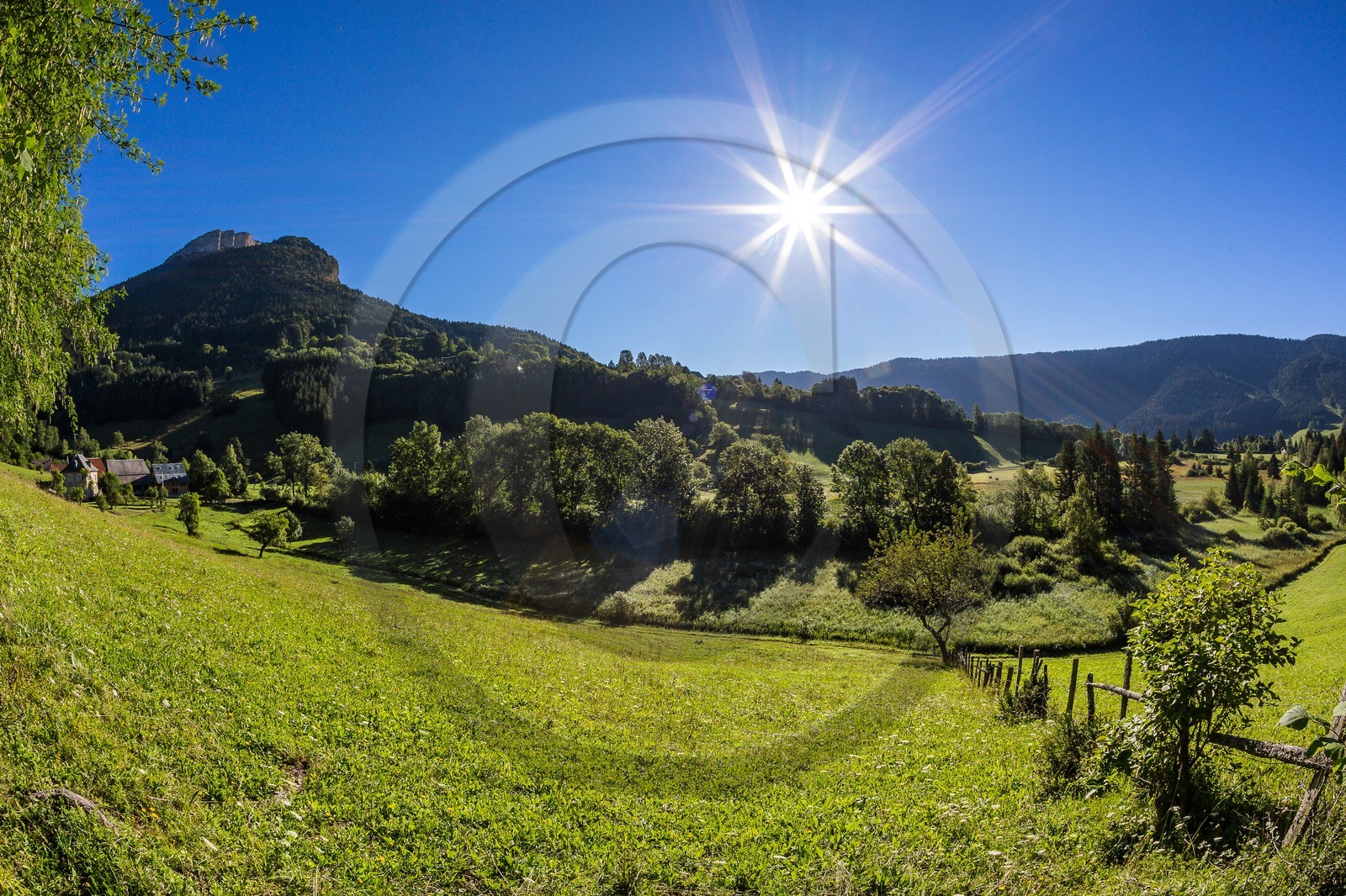 ENS de l'Isère, Marais des Sagnes