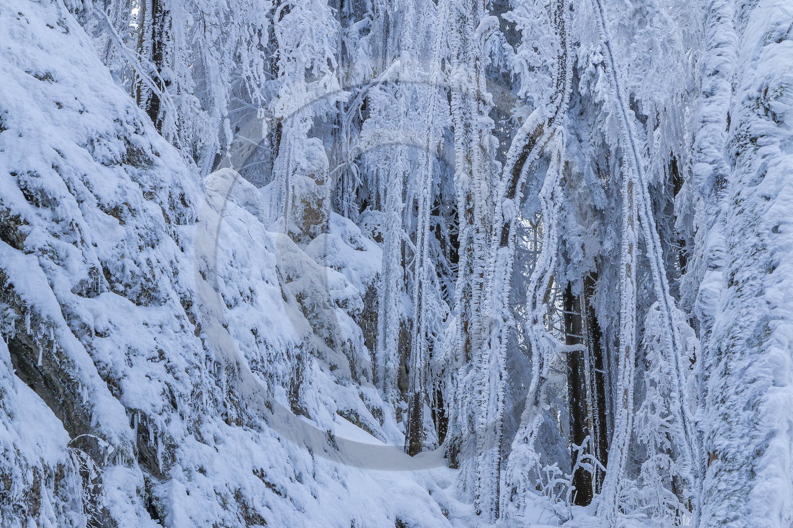 ENS de l'Isère, Les Ecouges