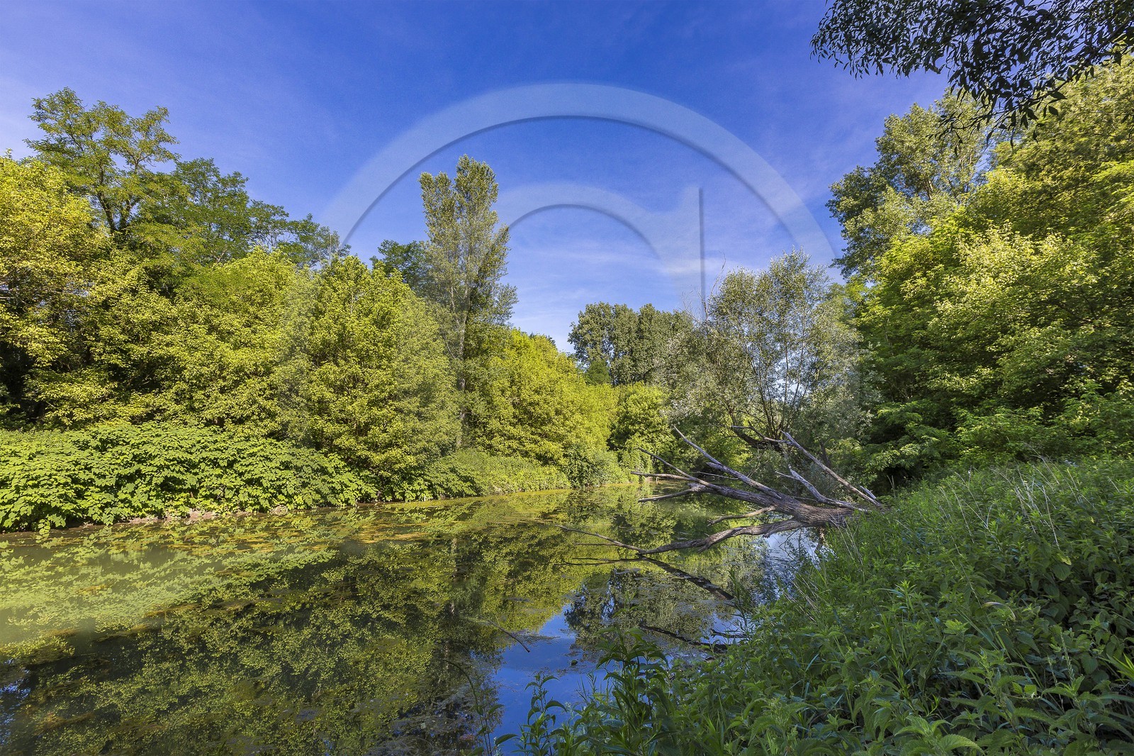 ENS de l'Isère, , le méandre des Oves