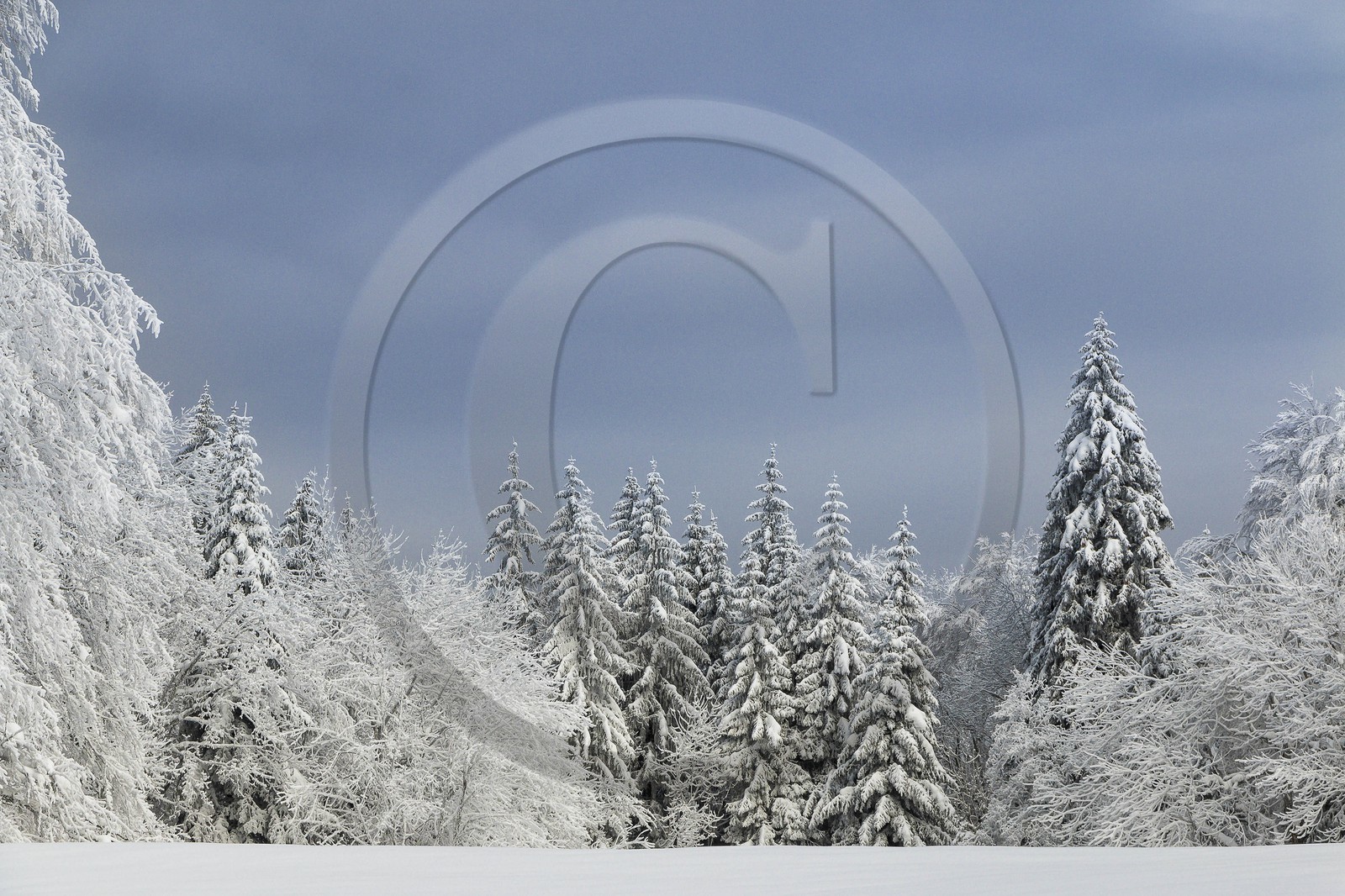 ENS de l'Isère, Les Ecouges