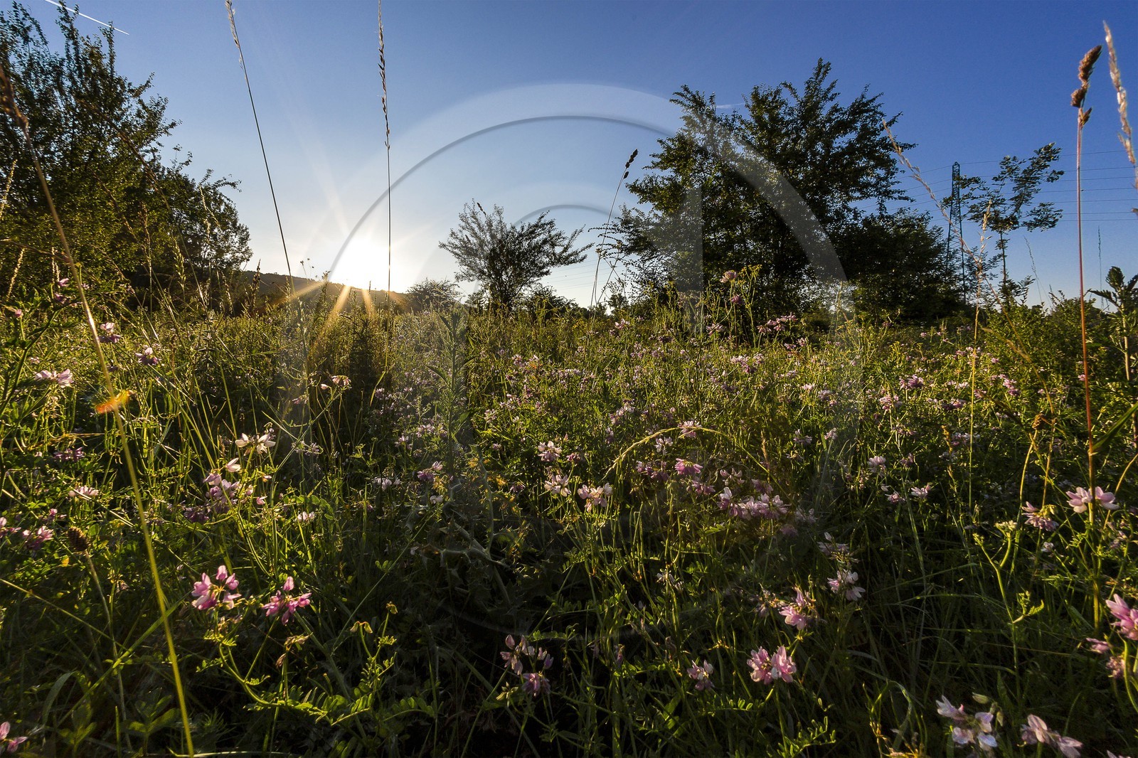ENS de l'Isère, , le méandre des Oves