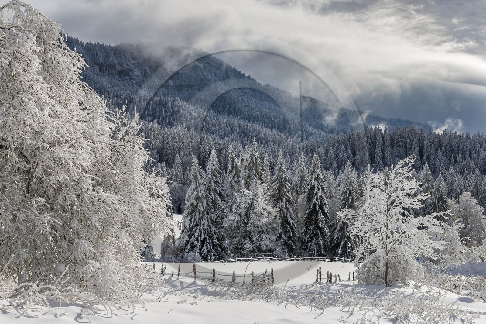 ENS de l'Isère, Les Ecouges