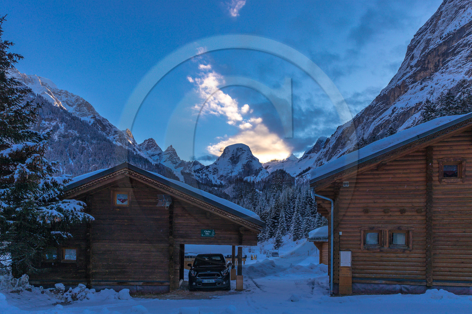 Pralognan-la-Vanoise, bouquetin en bronze