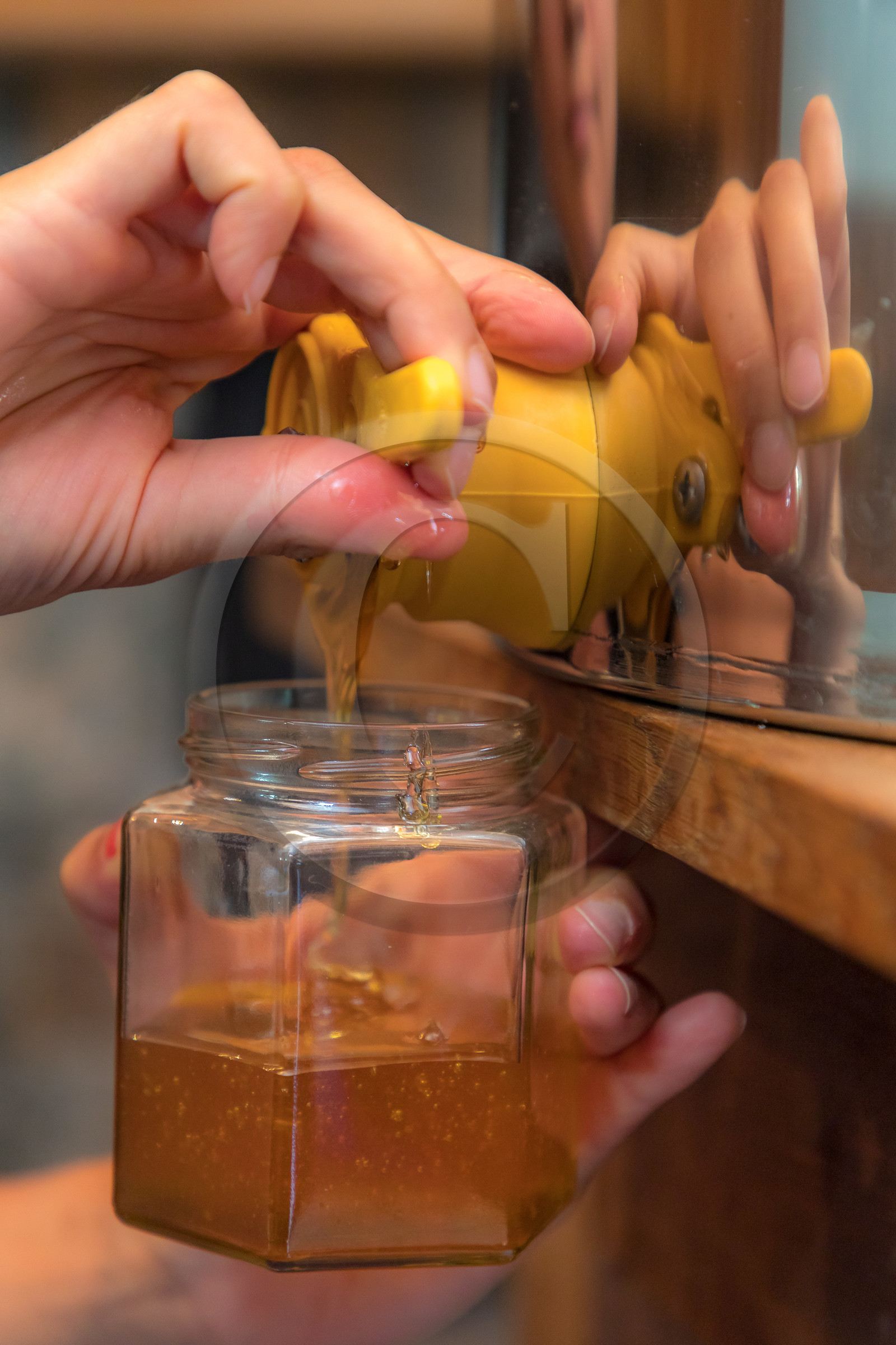 Margaux and Didier Pissard, beekeepers