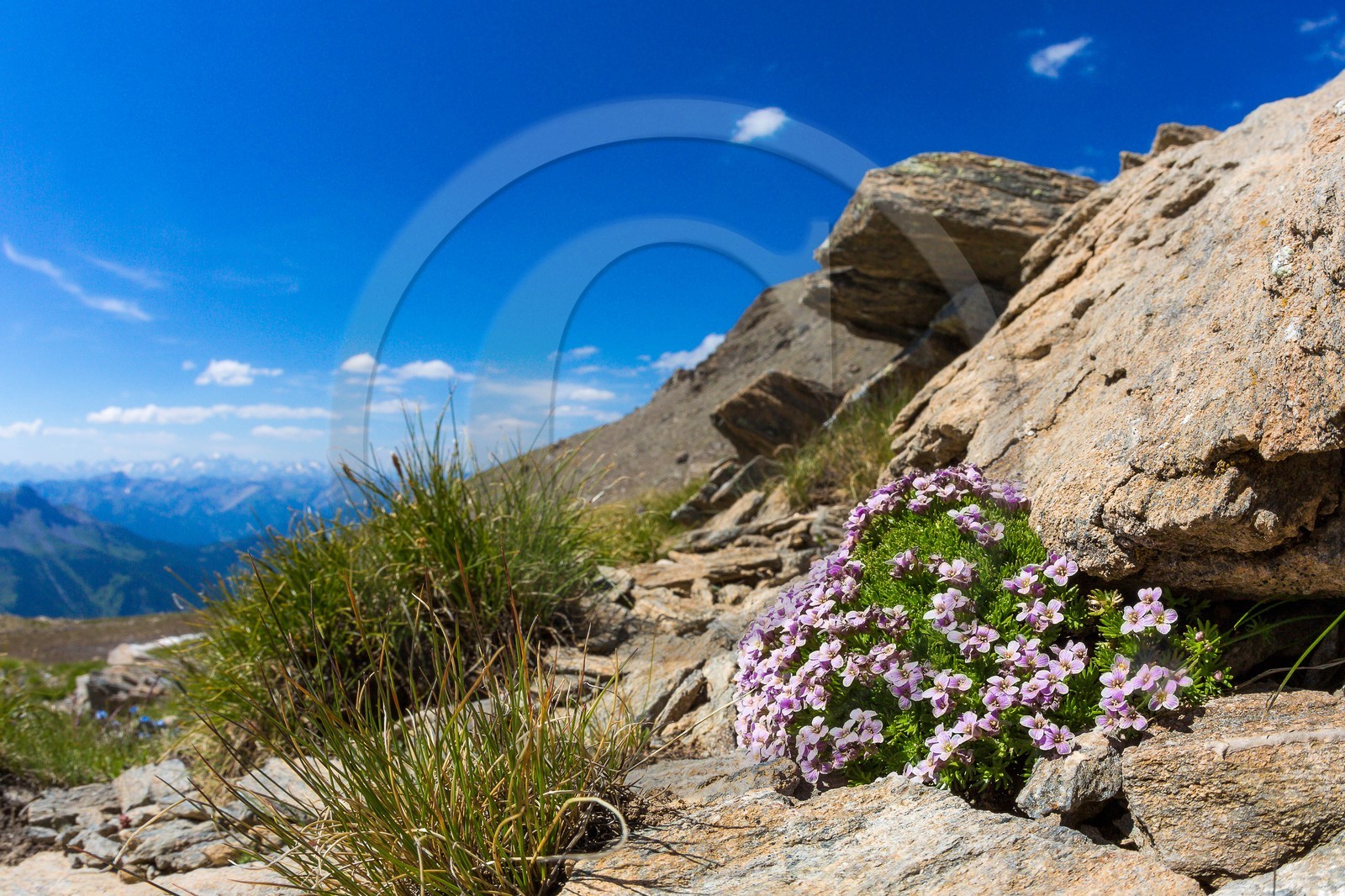 Parc naturel régional du Queyras