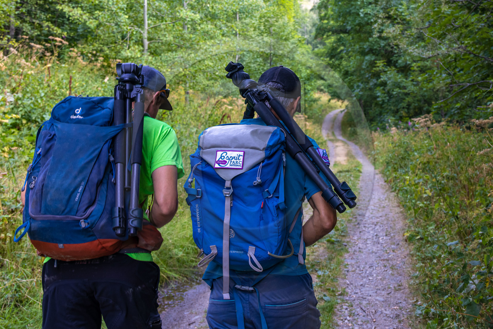 Fabrice Morin, accompagnateur en moyenne montagne