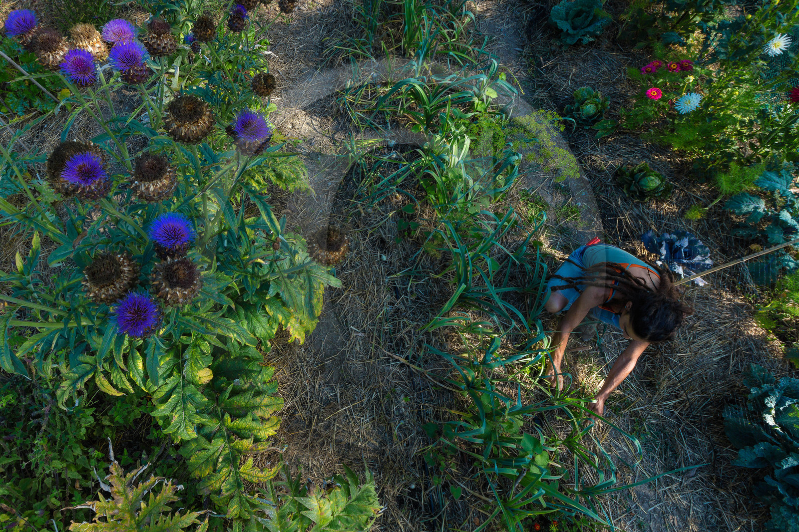 Parc écologique Terre Vivante