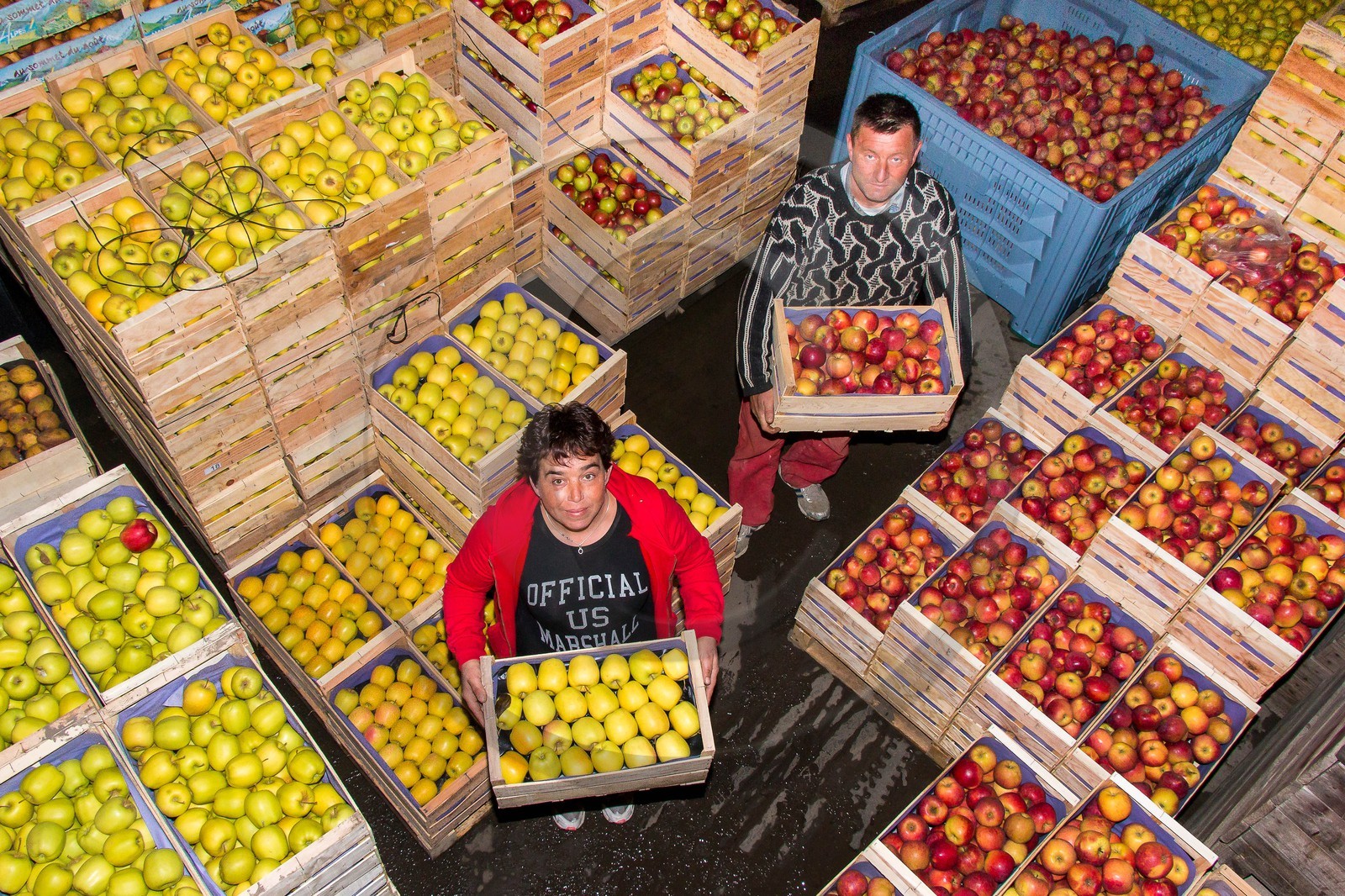 Noëlle et Franck Jacob, producteurs de fruits
