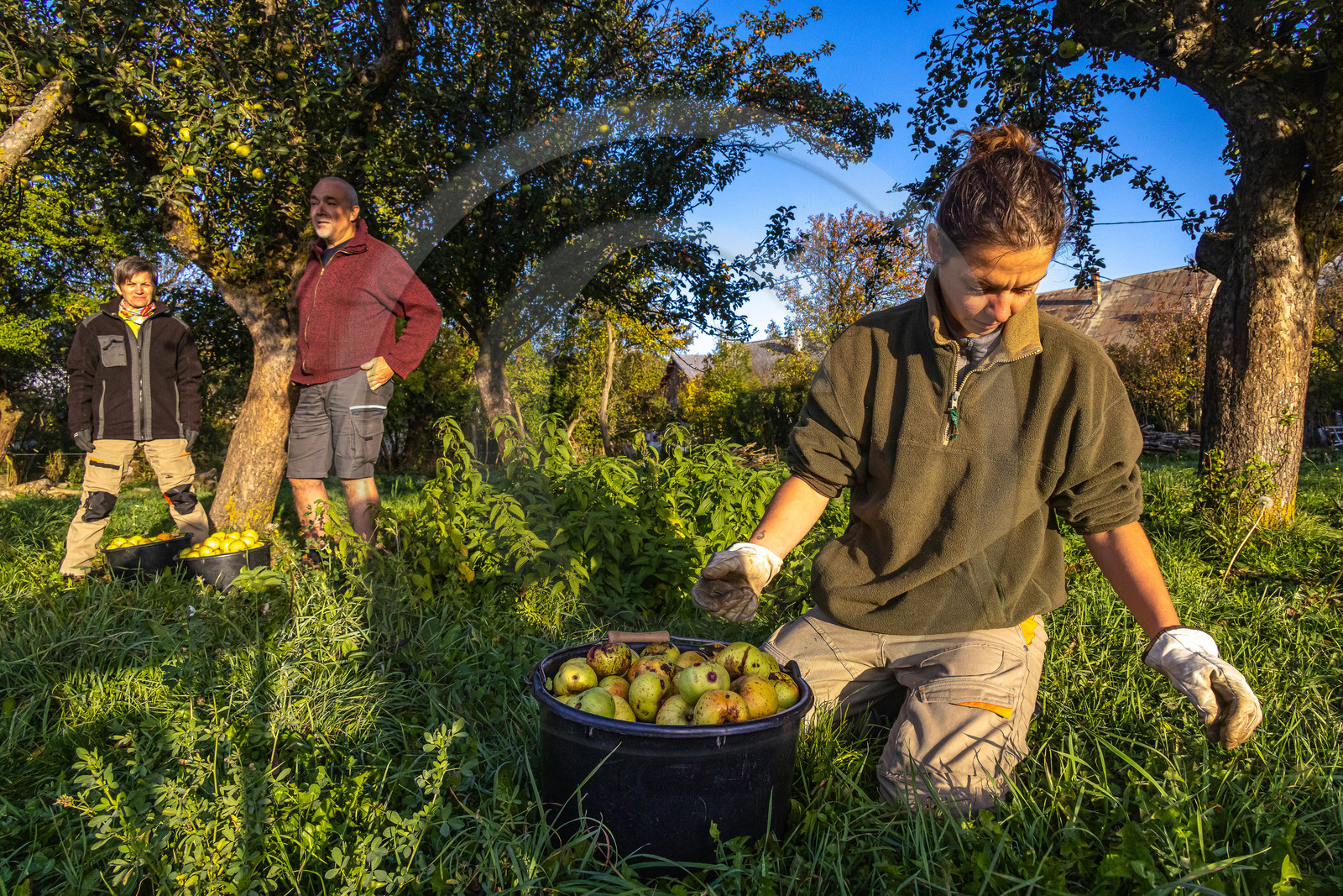 Etablissement Gayral, producteur de jus