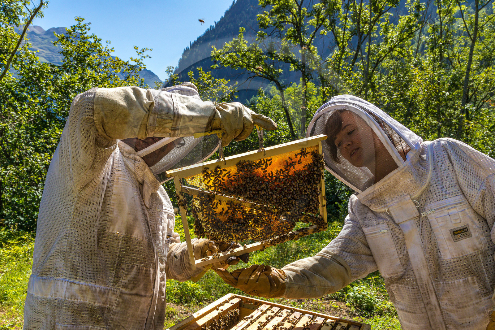 Margaux et Didier Pissard, apiculteurs