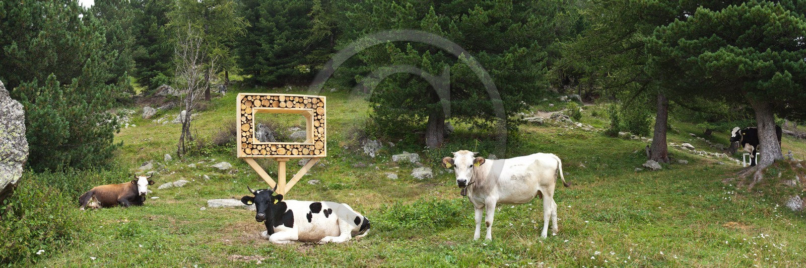 Sentiers Art et Nature Queyras et Val Varaita, Jean-François Marc