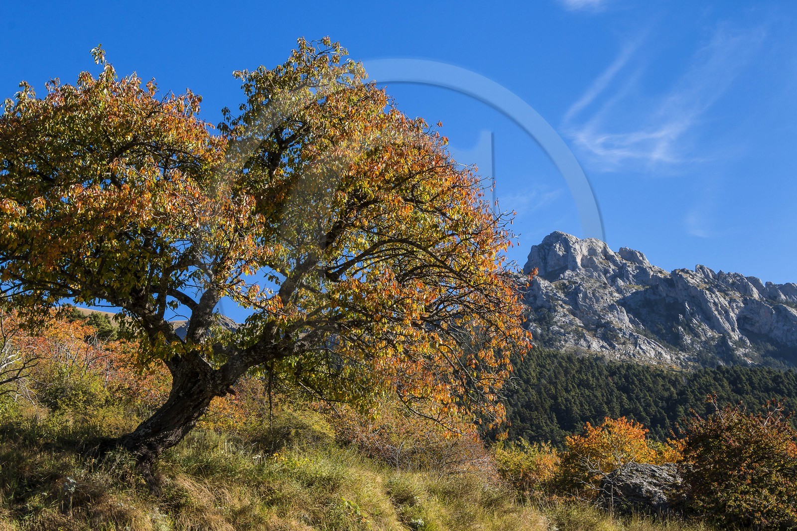 Valdeblore, Baus de la Frema
