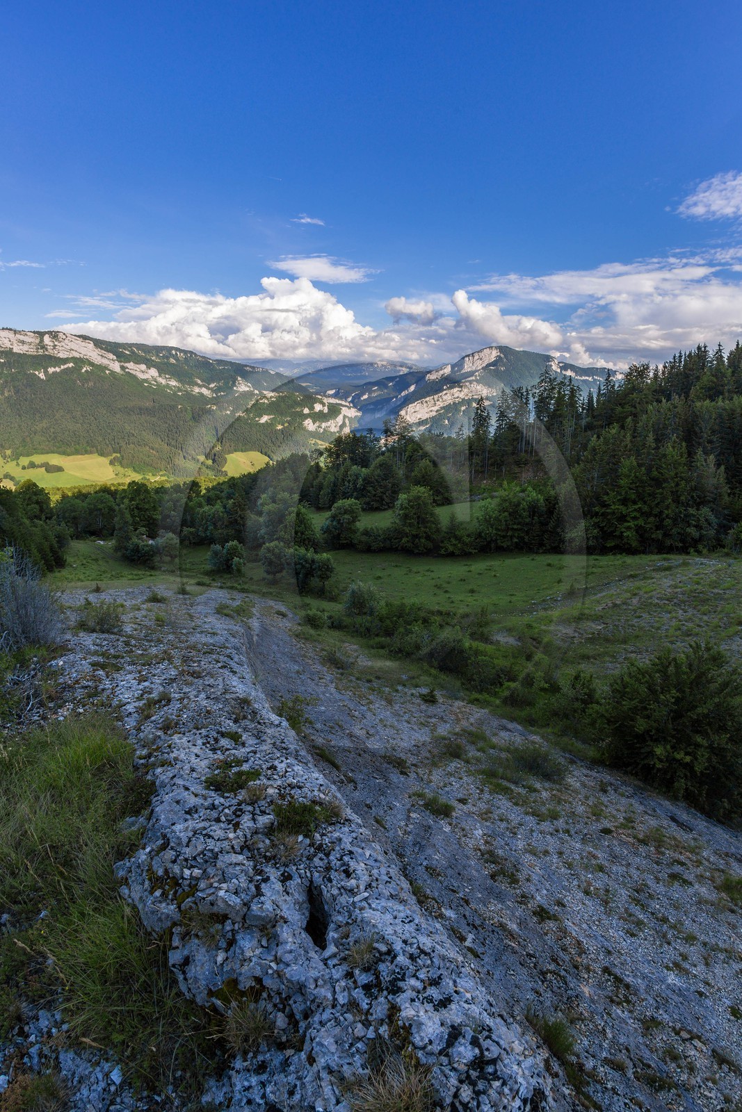 ENS de l'Isère, vallée fossile des Rimets