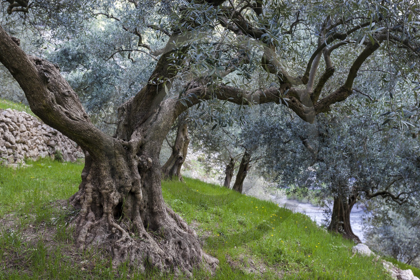 Entrevaux, cité médiévale, cité Vauban