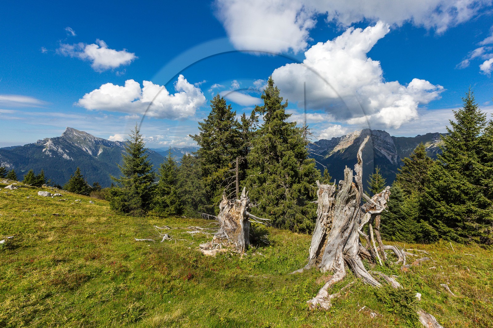 Espace naturel sensible de l'Isère, Col du Coq