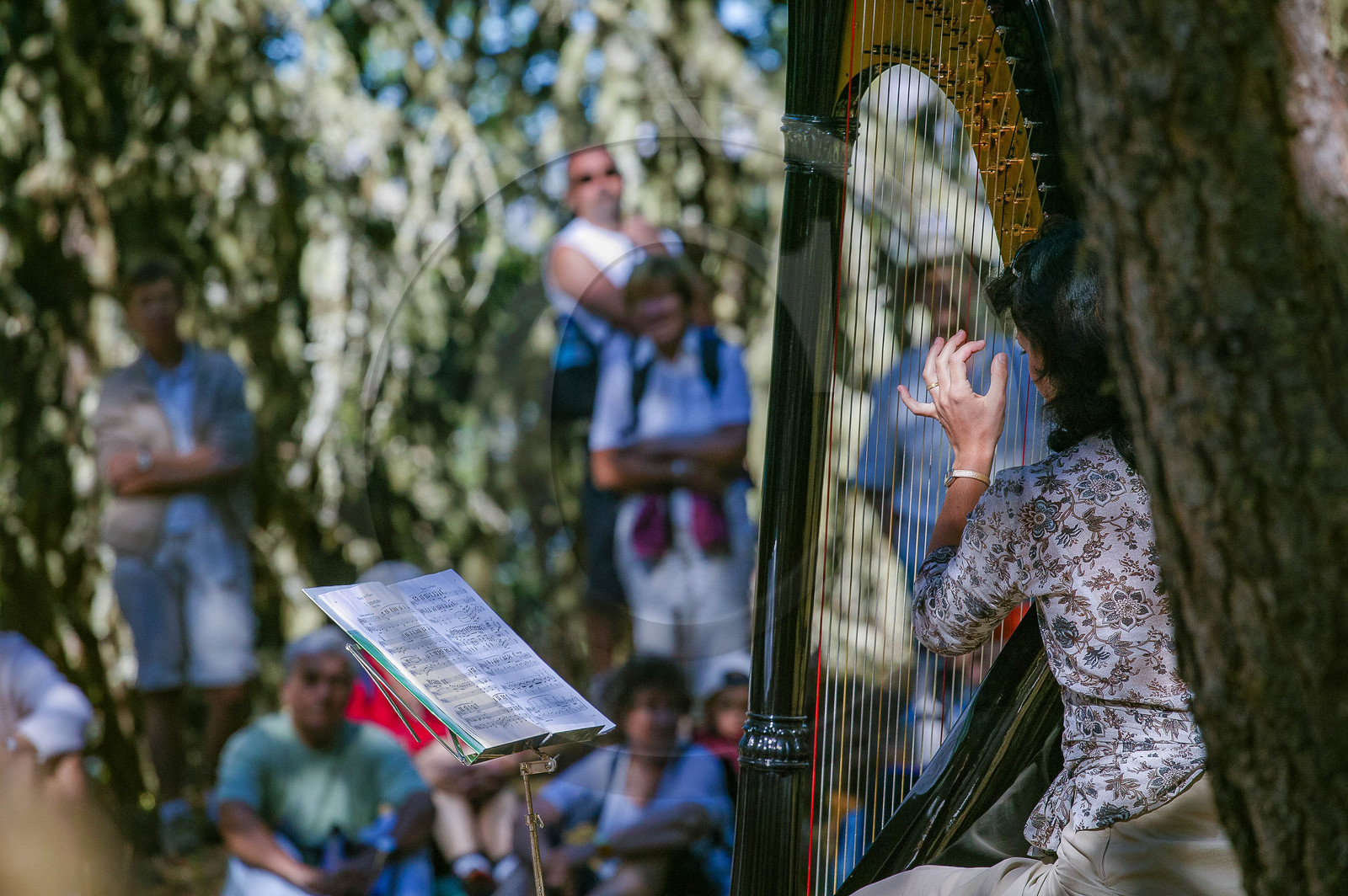 Festival de Chaillol, Iris Topalian, harpe