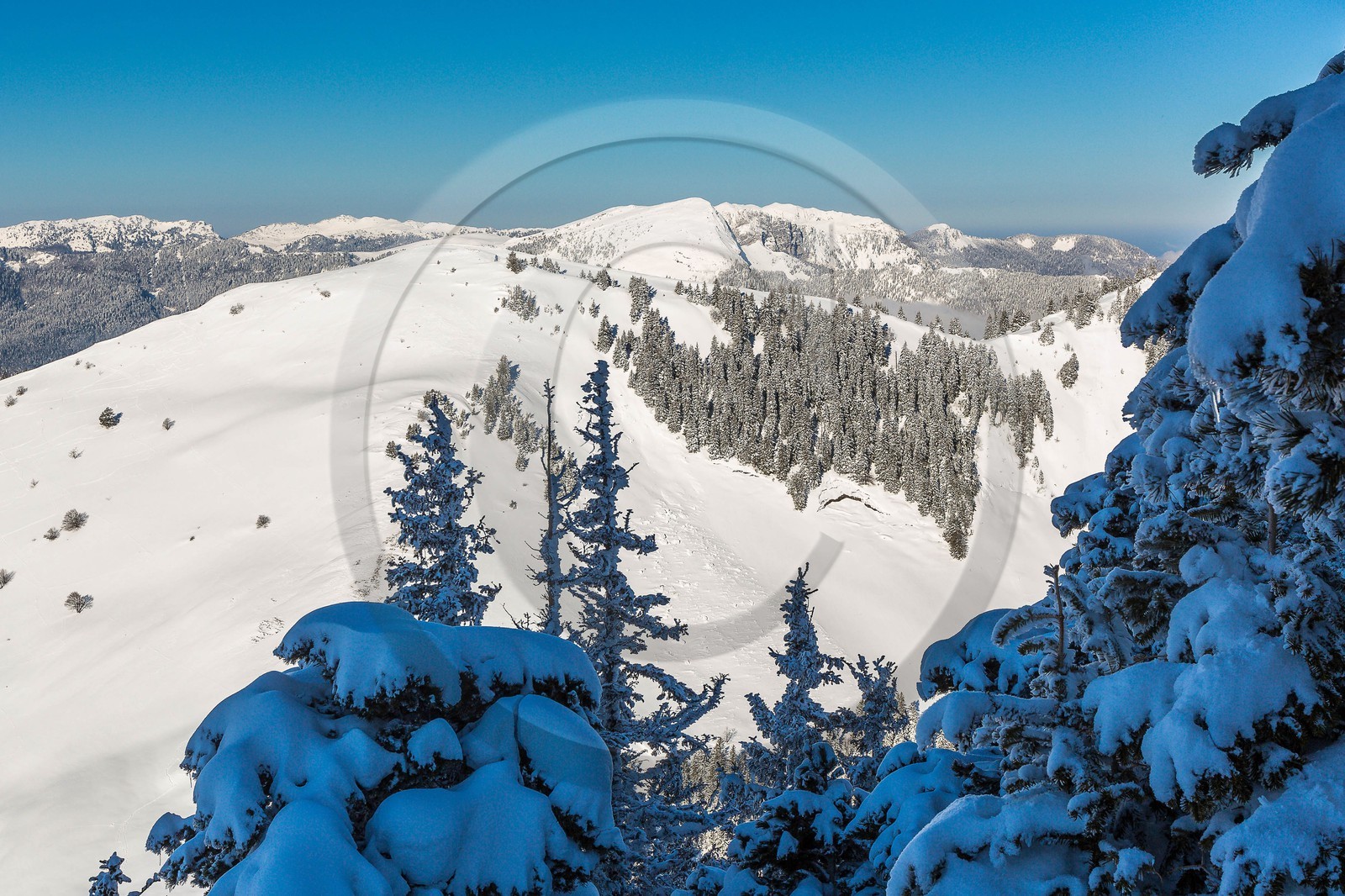 Espace naturel sensible de l'Isère, Col du Coq