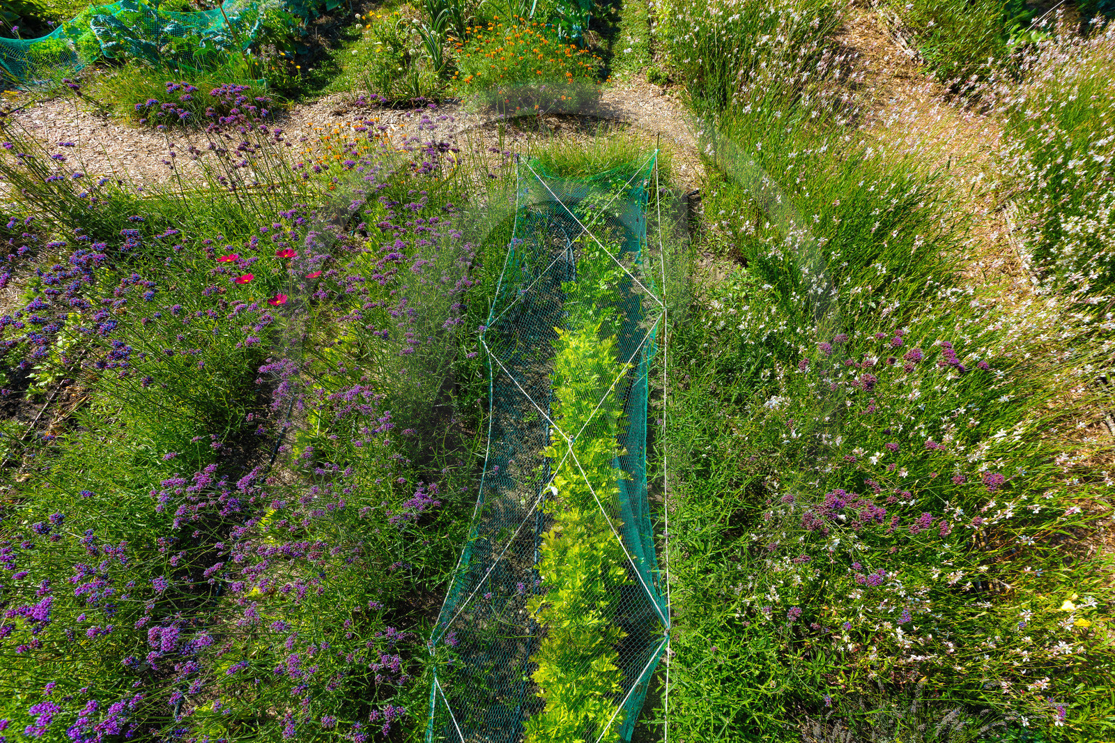 Parc écologique Terre Vivante