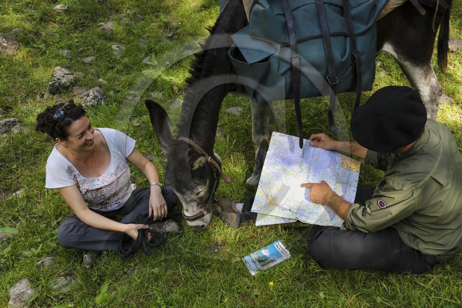 Yohann Masnada, accompagnateur ânier