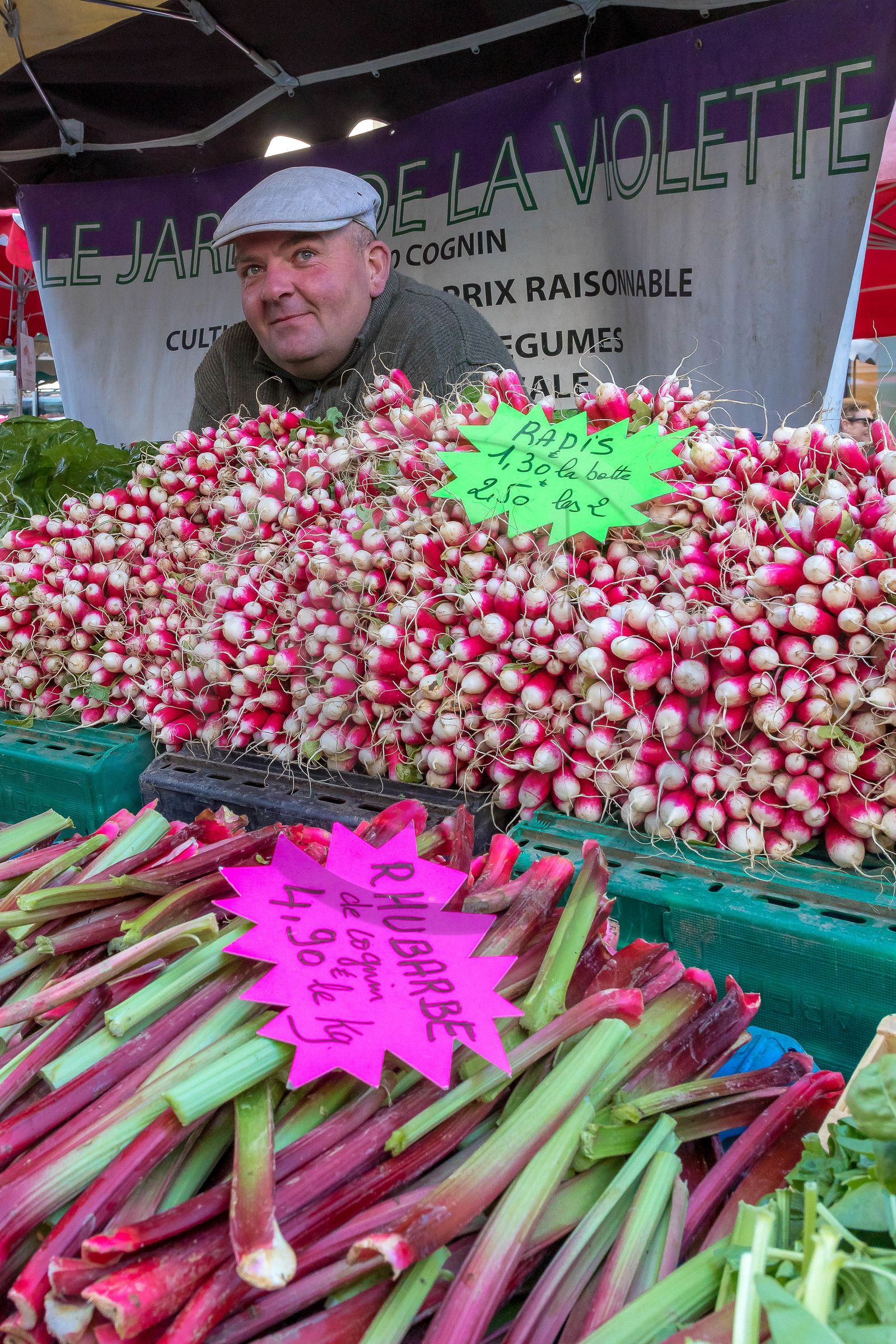 Le jardin de la violette