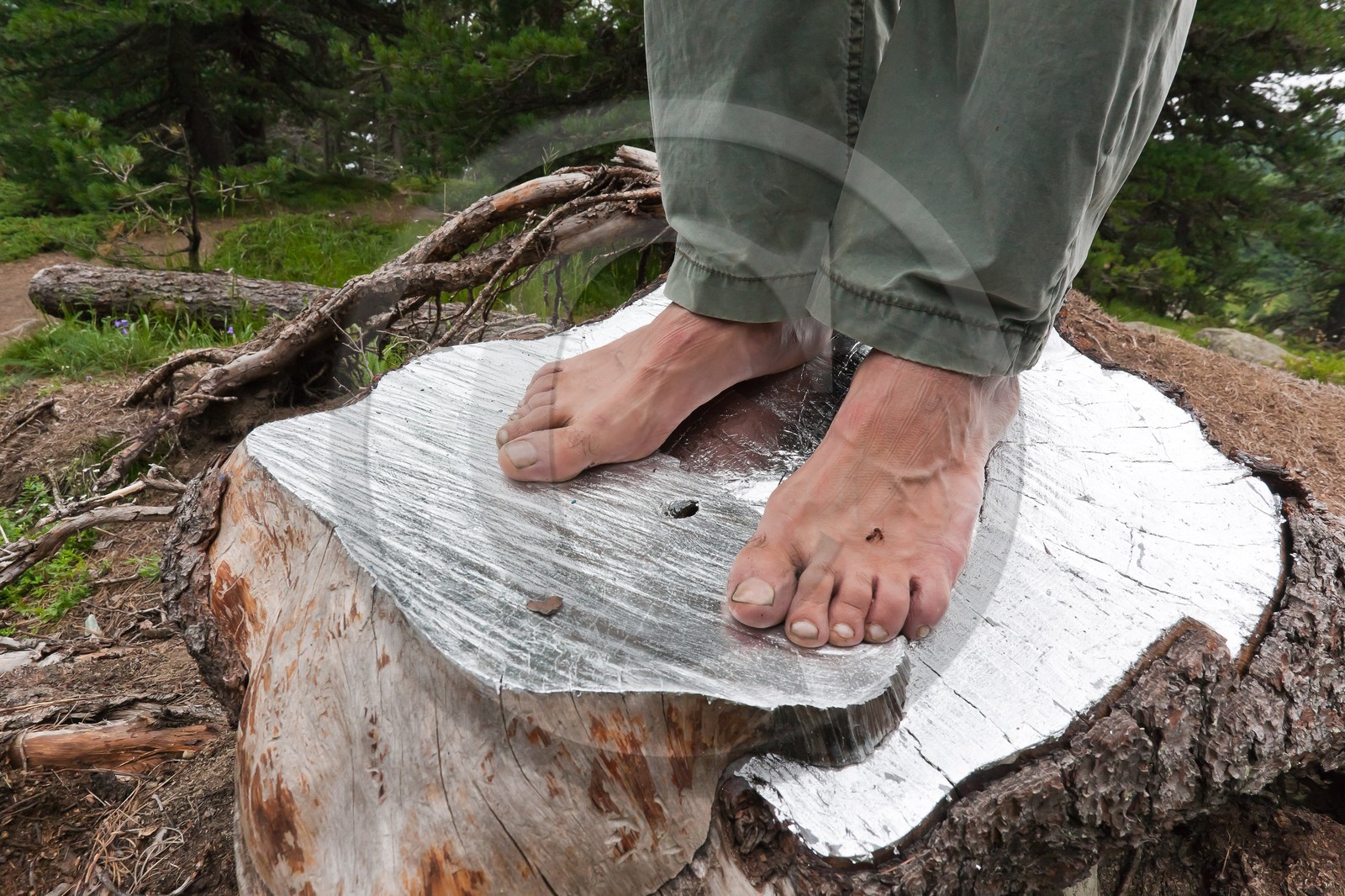 Sentiers Art et Nature Queyras et Val Varaita, Peter Gross