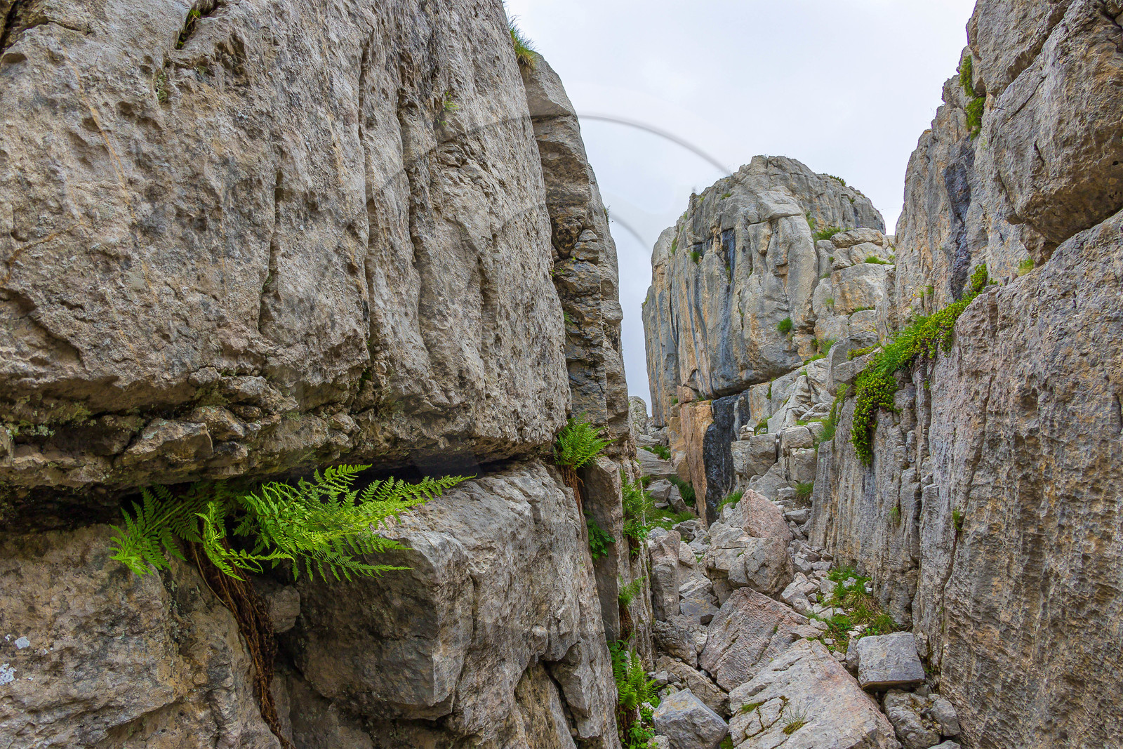 Les Oucanes de Chabrières