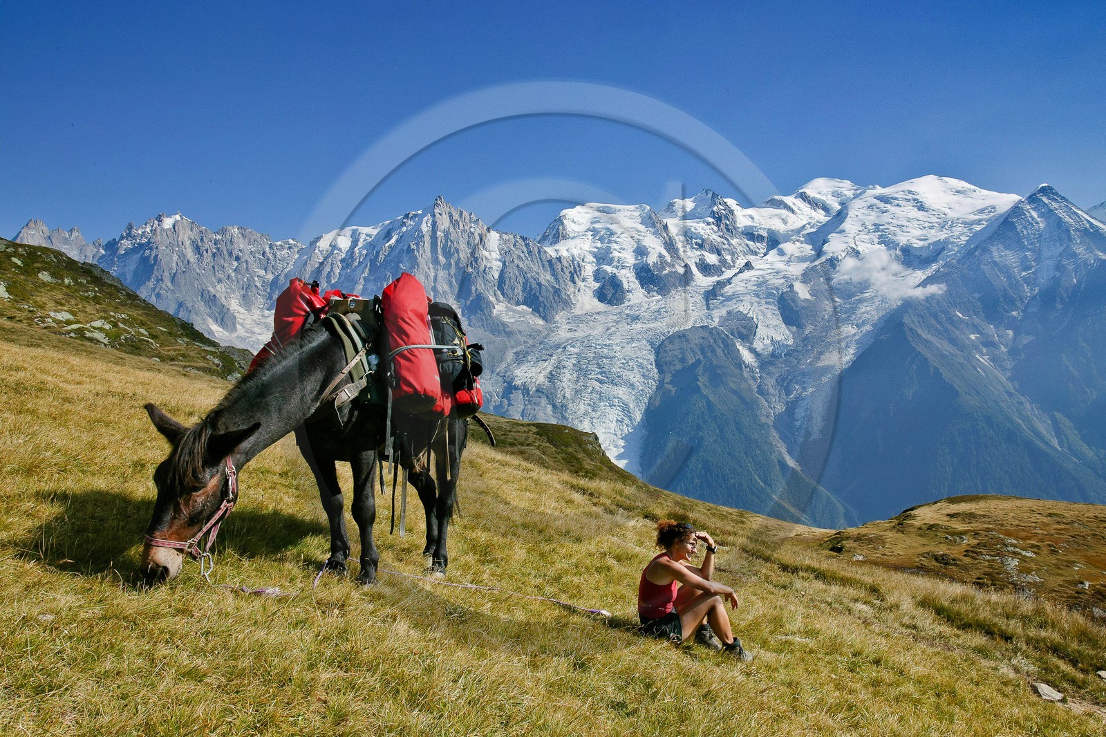 Réserve naturelle de Carlaveyron, col de Bellachat, randonnée avec portage par cheval