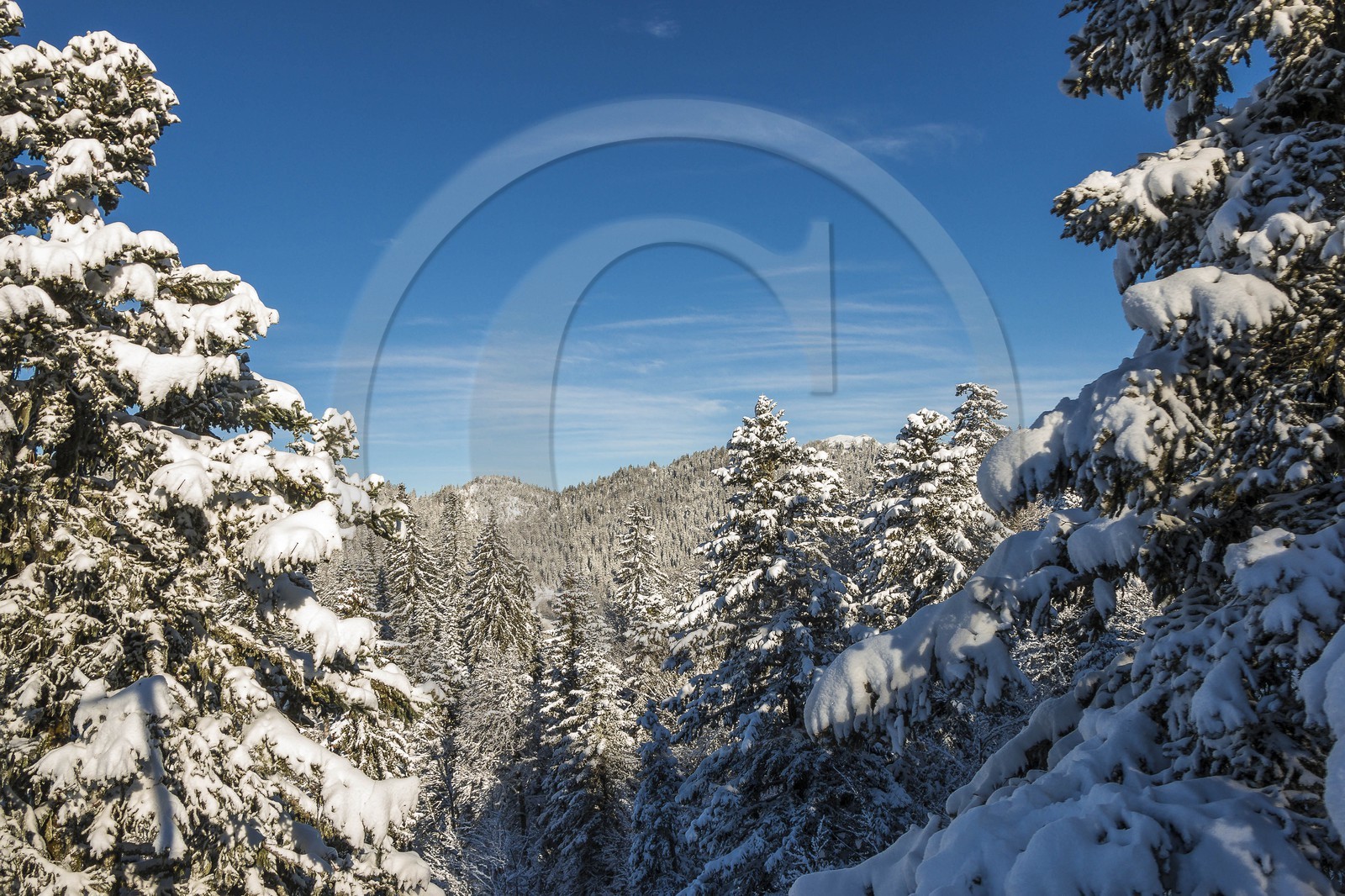 ENS de l'Isère, Plateau de la Molière et du Sornin