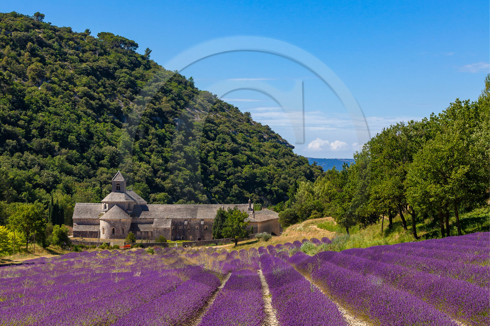 Gordes, Abbaye Notre-Dame de Sénanque