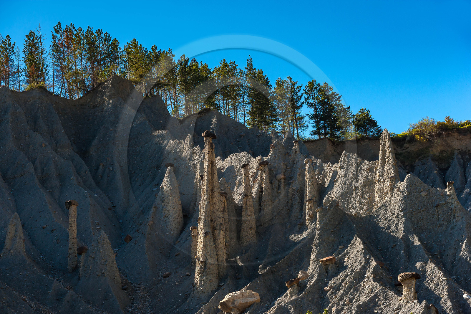 Salle de Bal des Demoiselles Coiffées