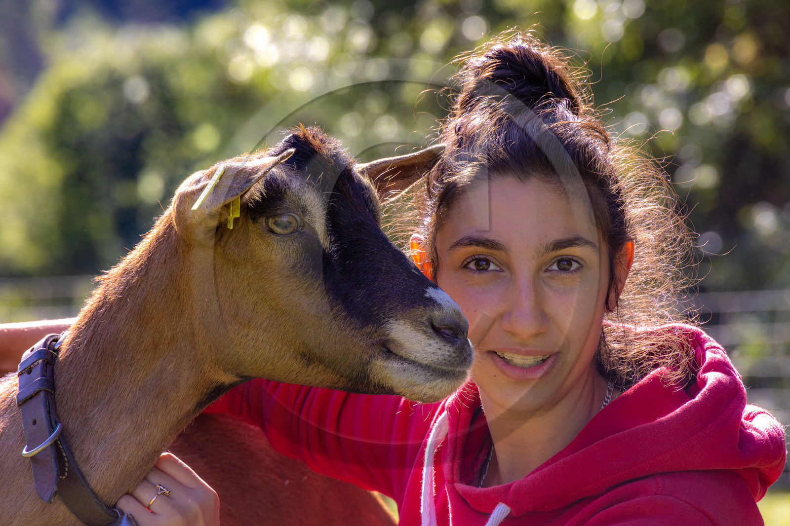 Gaec La Ferme des Ecrins