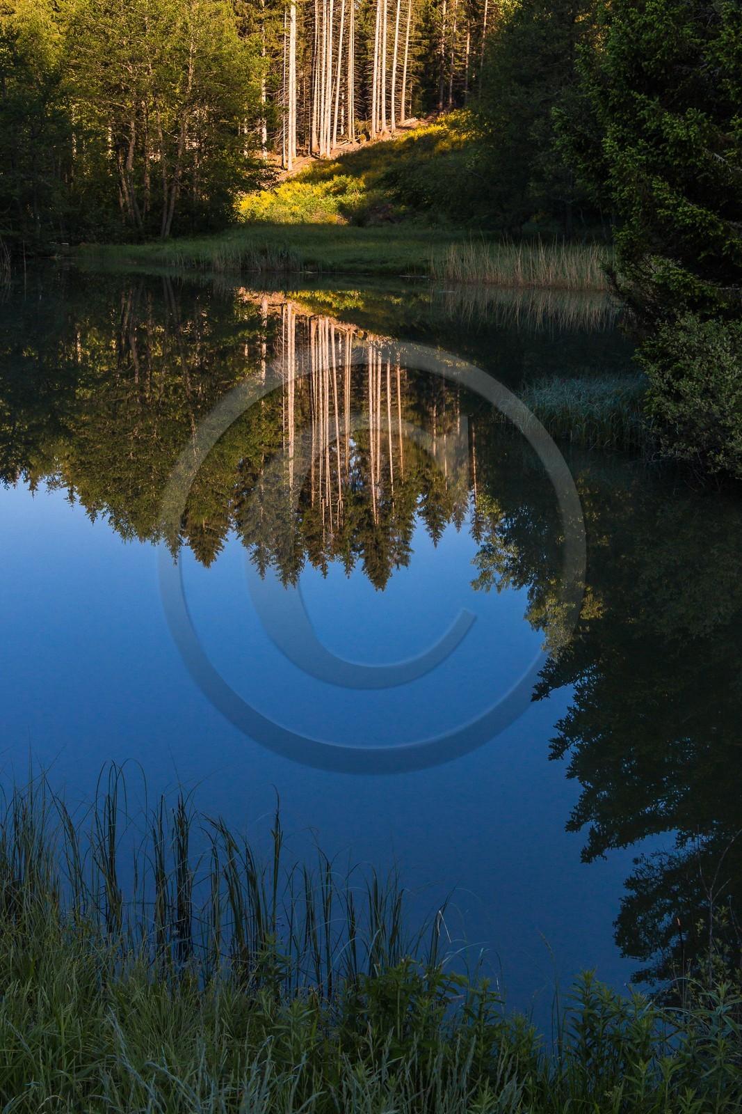 ENS de l'Isère, Marais des Seiglières