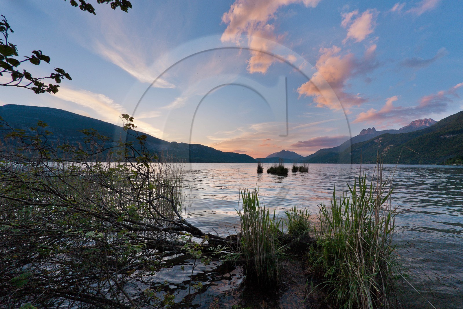 Réserve naturelle du Bout du Lac d'Annecy