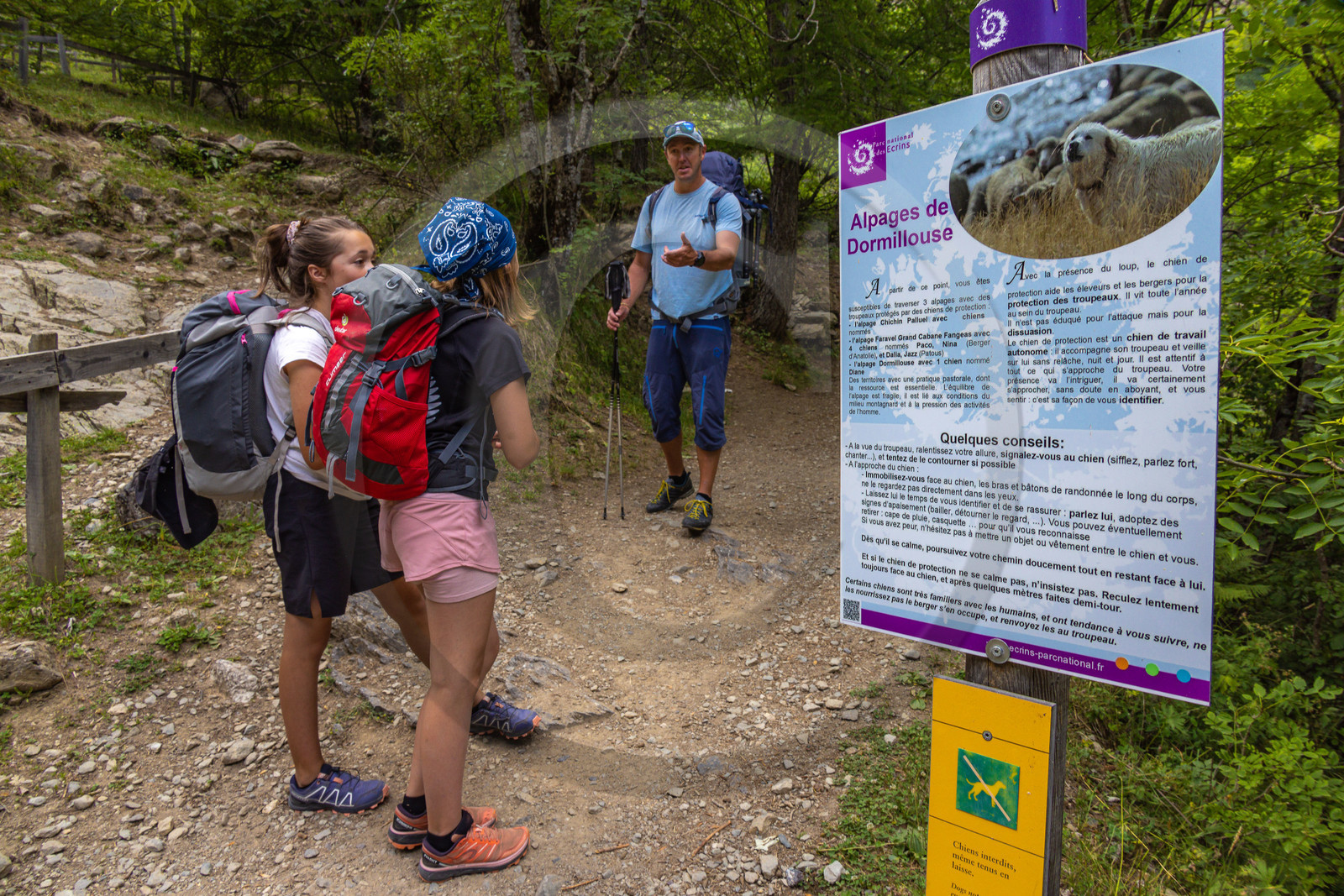 Vallée de Freissinières, panneau d'informations patou