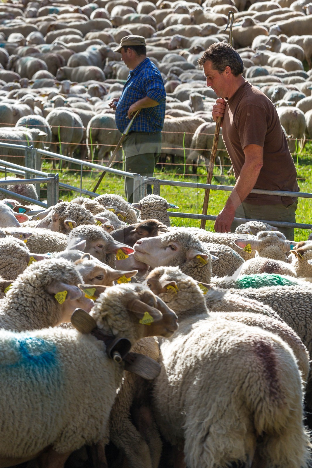 Le Désert, désenmontagnage