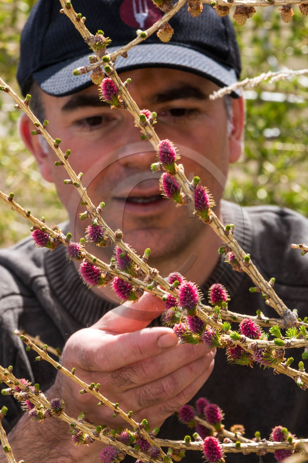 Stéphane Bertrand Pelisson