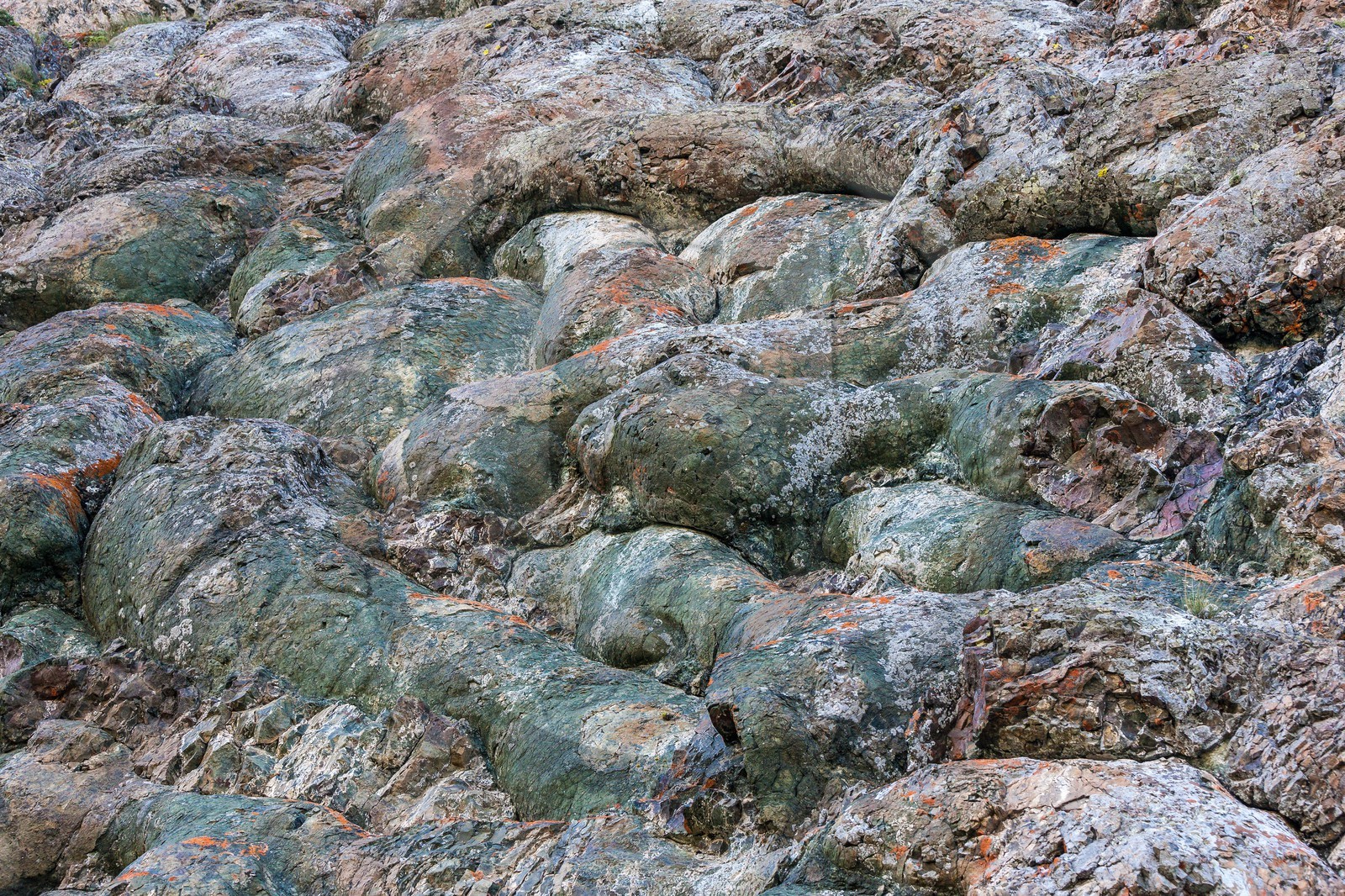 Montgenèvre, Le Chenaillet, ophiolites