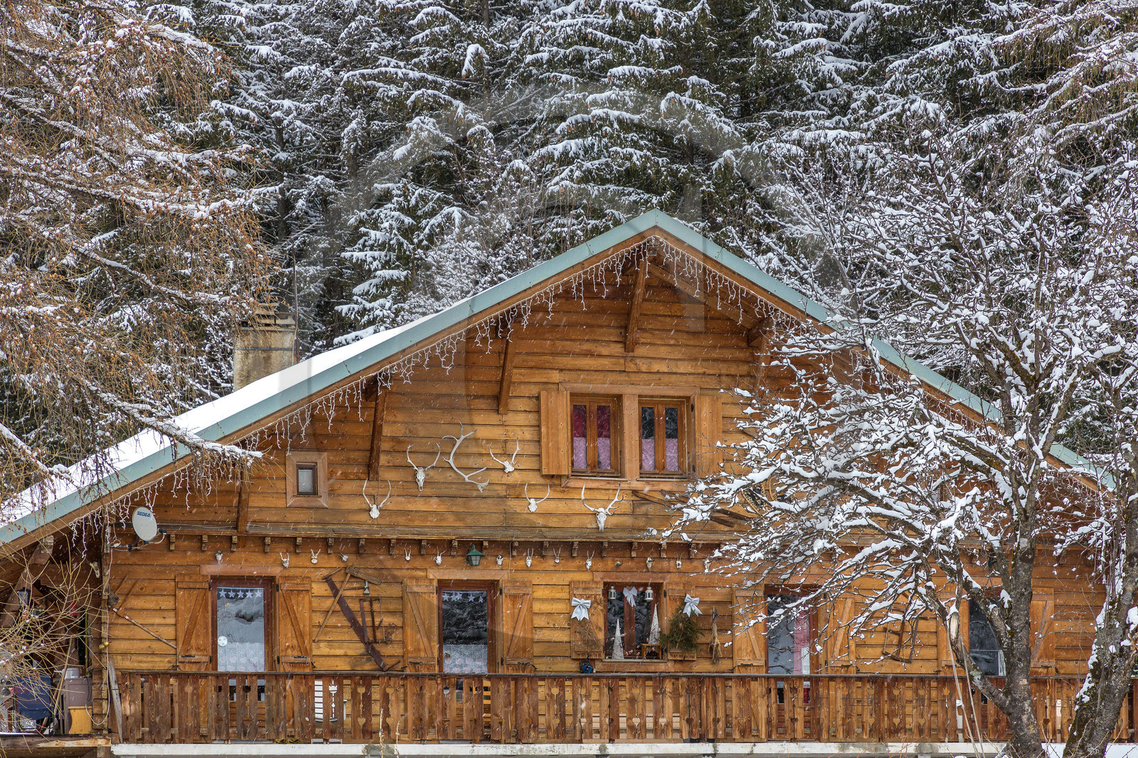 Pralognan-la-Vanoise, bouquetin en bronze