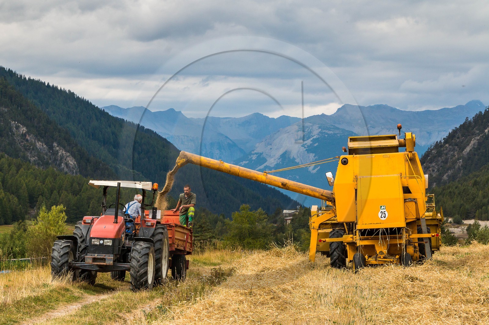 Ceillac, Christophe Gauthier, Exploitant agricole