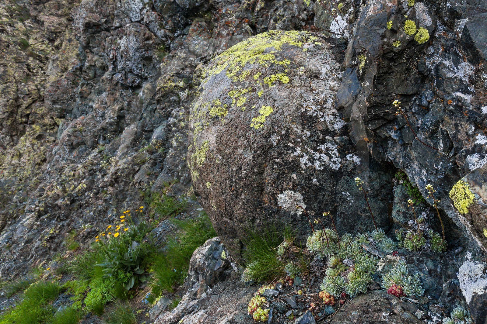 Montgenèvre, Le Chenaillet, ophiolites
