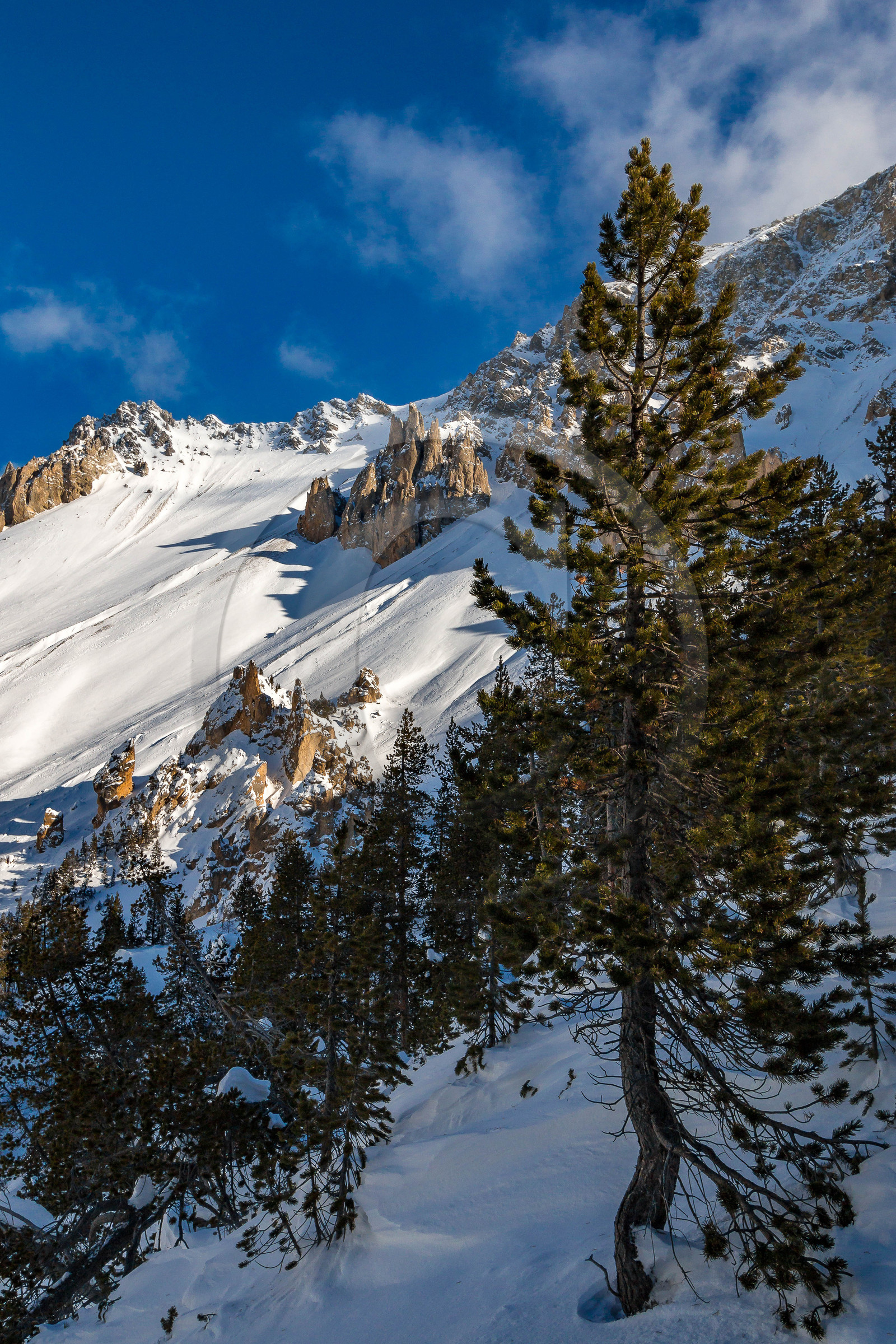 Col de l'Izoard