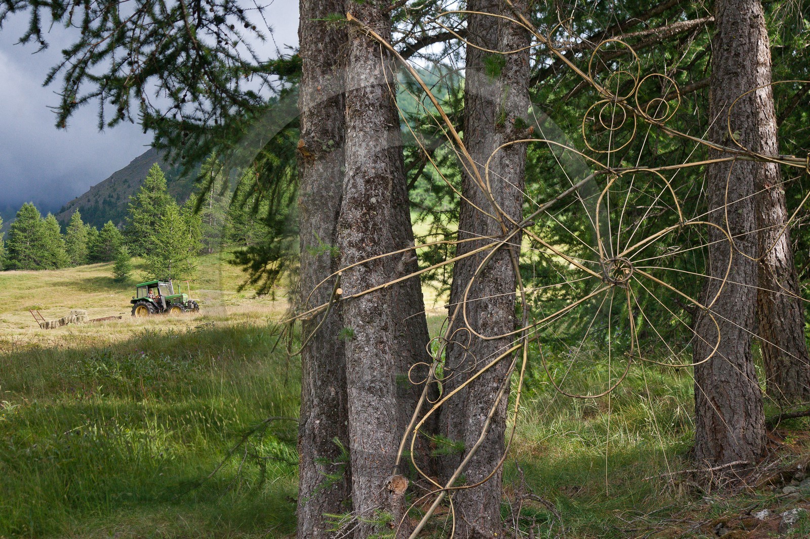 Claire Boucl, Sentiers Art et Nature Queyras et Val Varaita