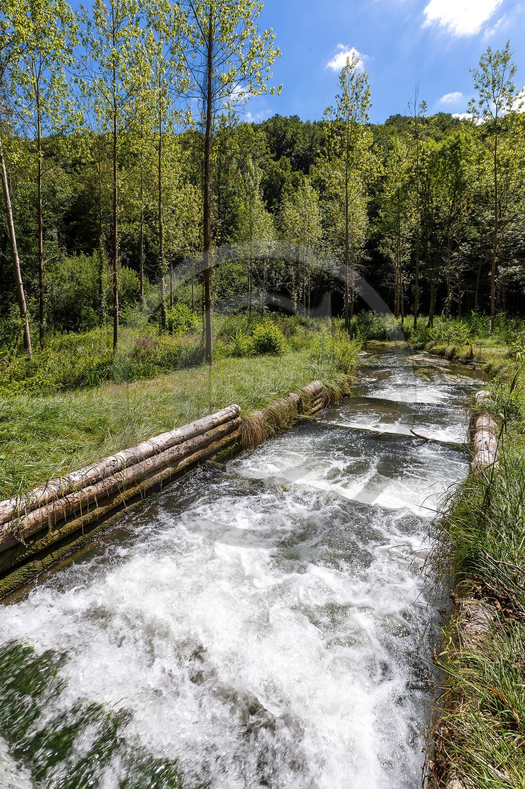 ENS de l'Isère, étang de Cote Manin