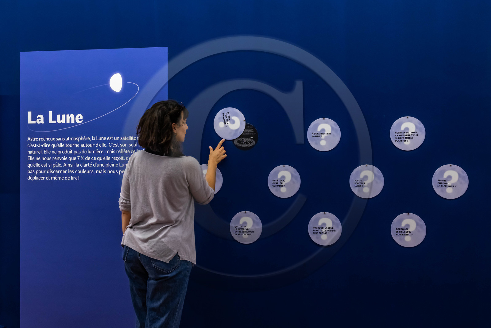 Musée Muséum départemental des Hautes-Alpes, Exposition Nuit