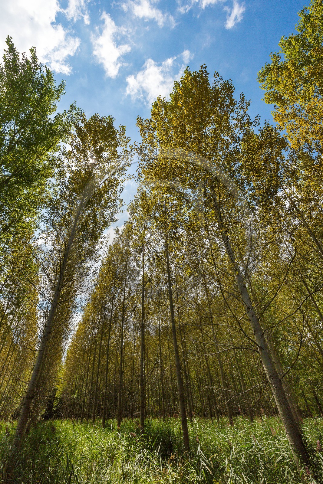 ENS de l'Isère, Boucle des Moïles