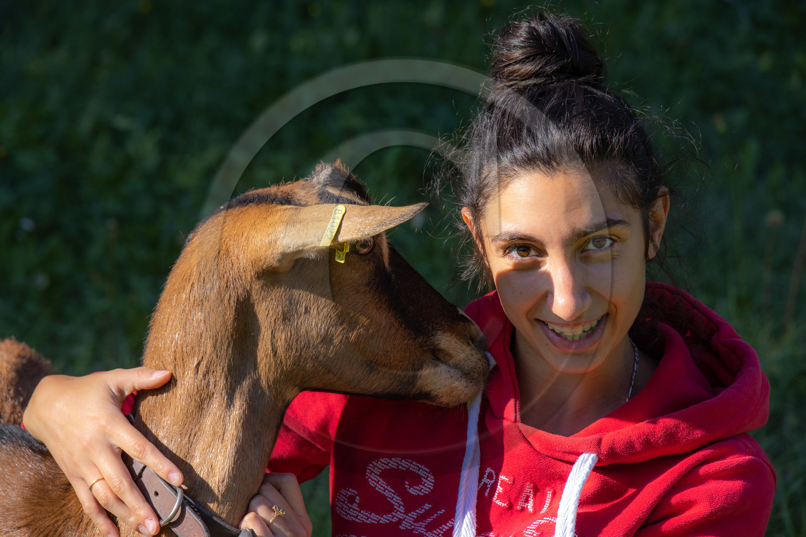 Gaec La Ferme des Ecrins
