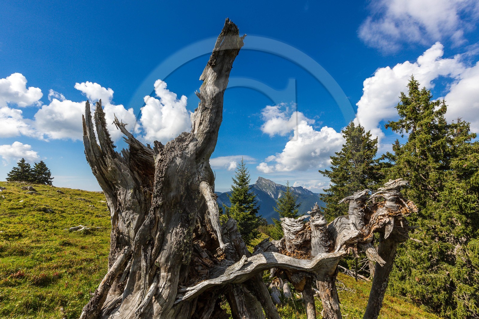 Espace naturel sensible de l'Isère, Col du Coq
